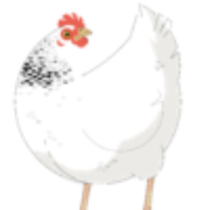Huhn aus ökologischer Hühnerzucht